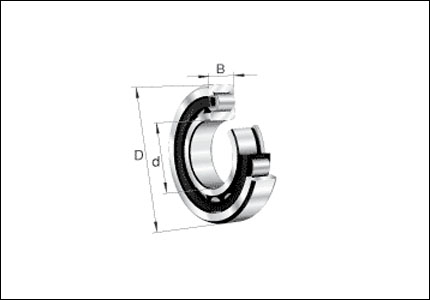 Radial single row straight roller bearing