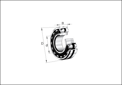 Adjustable radial double row straight roller bearing